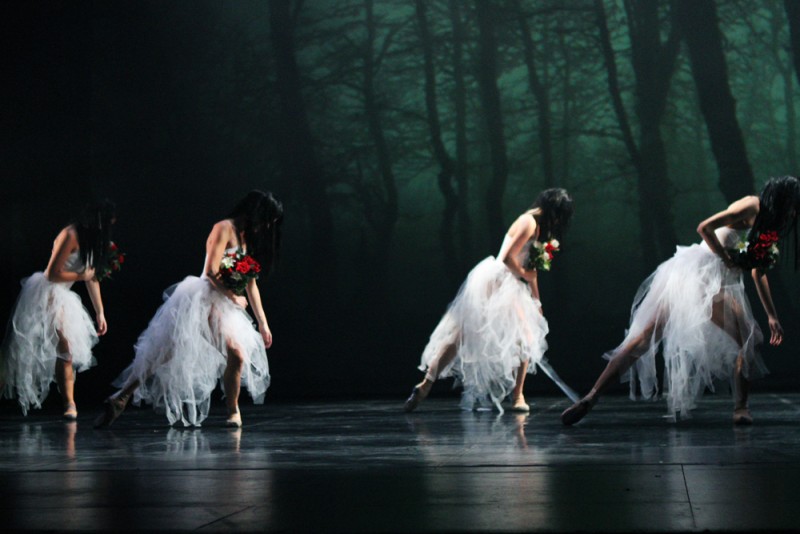 Ballet David Campos &quot;Giselle&quot;